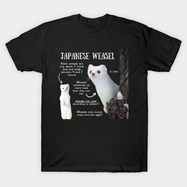 Animal Facts - Japanese Weasel T-Shirt by Animal Facts and Trivias